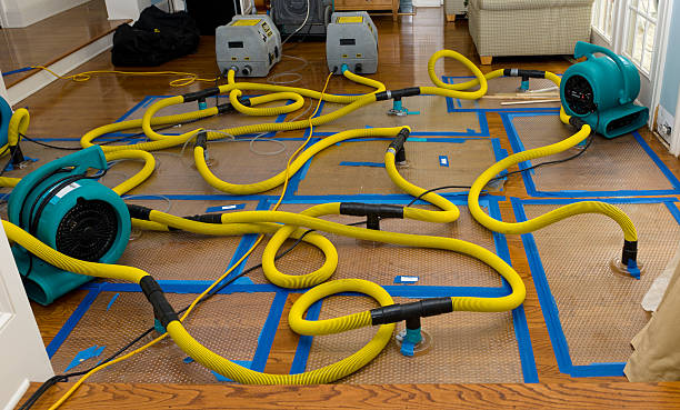 Professional Crawl Space Water Removal technician working in Waldron, WA